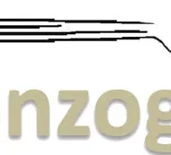Logo del Sonzogni croppato